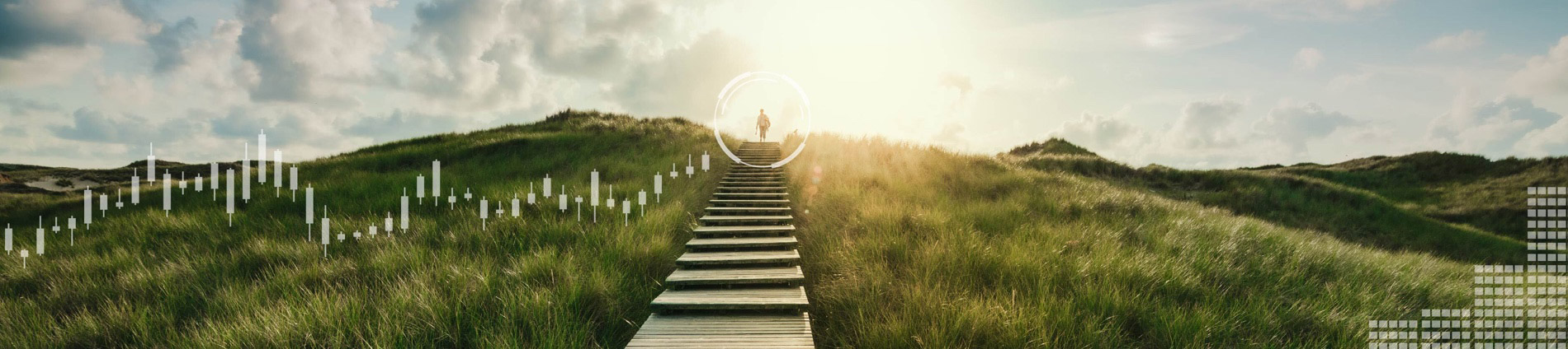 Finity – Population Health Intelligence